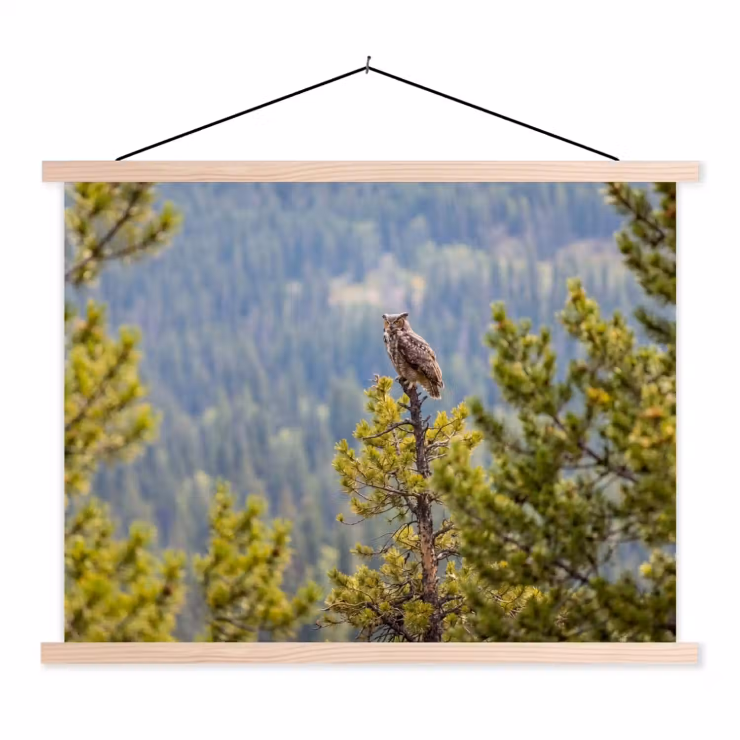 Uil - Oehoe - Bomen - Natuur textielposter latten blank klein -3d