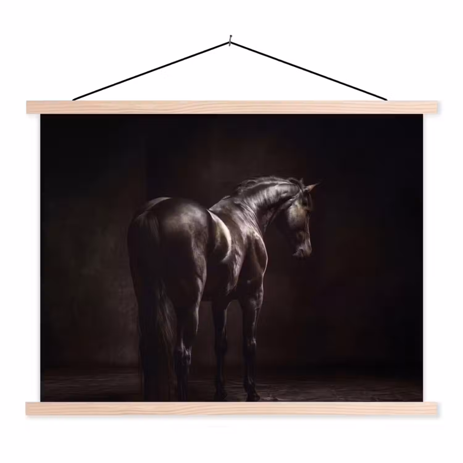Krachtig - Paard - Donker textielposter latten blank klein -3d