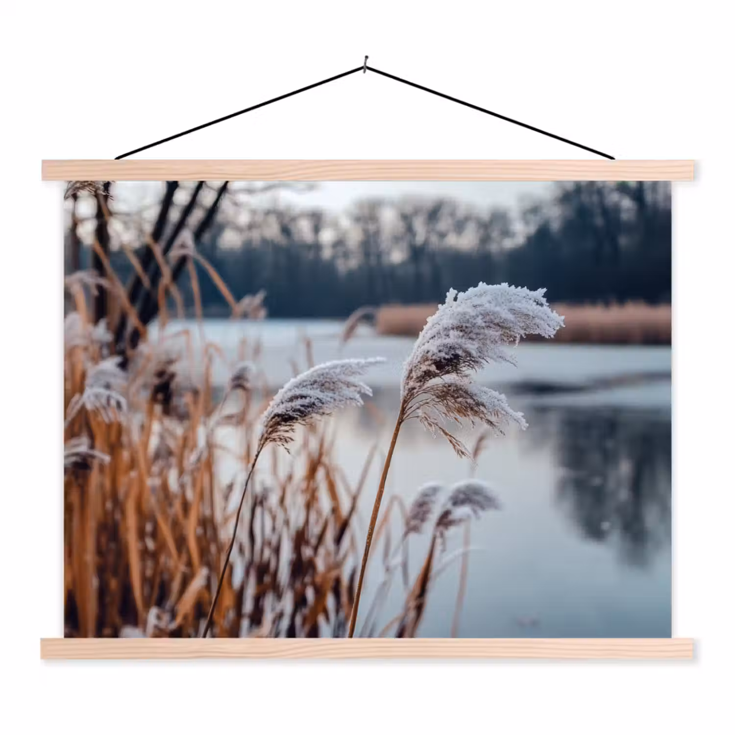 Riet - Gras - Natuur - Winter - Meer textielposter latten blank klein -3d
