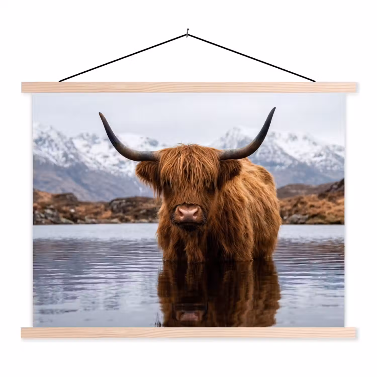 Schotse hooglander - Bruin - Water textielposter latten blank klein -3d