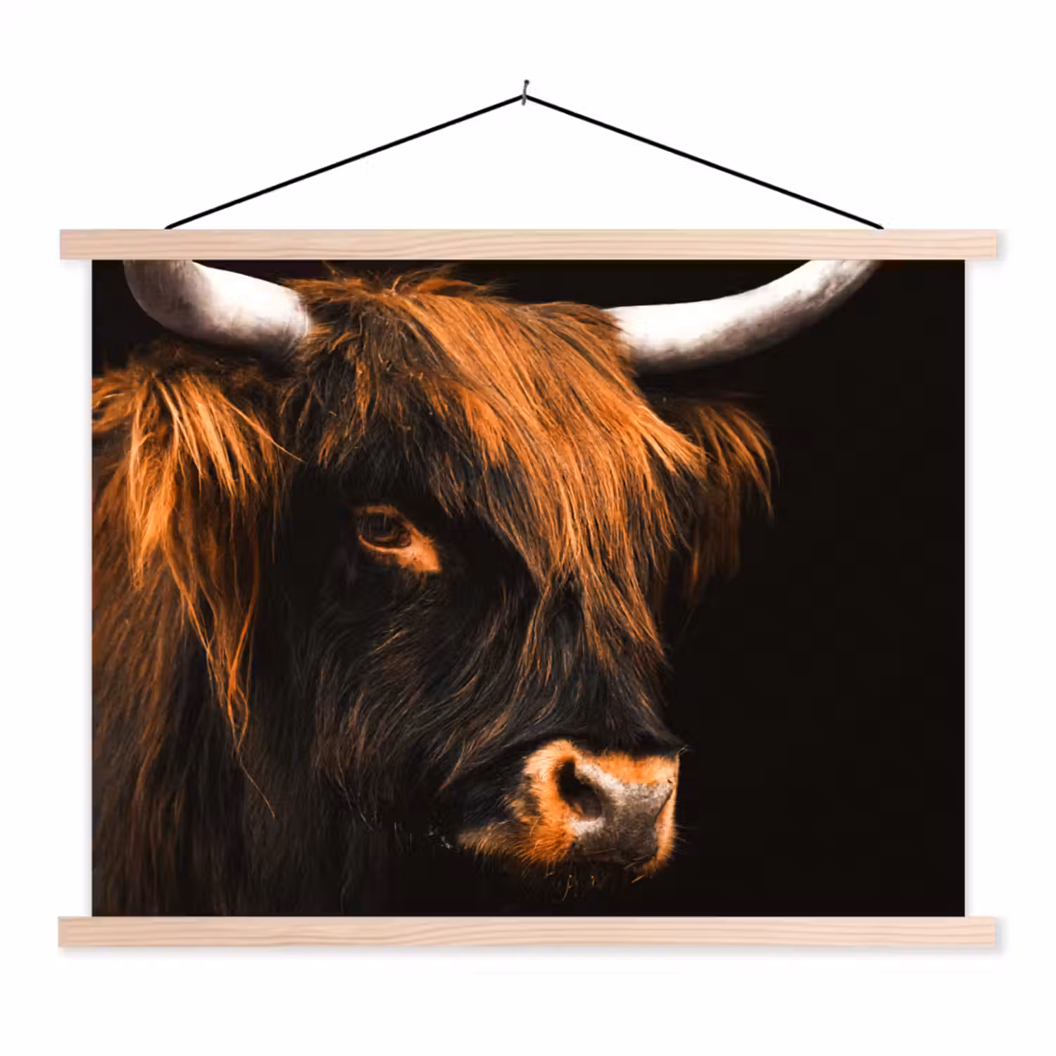 Schotse hooglander - Zwart - Koe - Hoorn - Dieren textielposter latten blank klein -3d