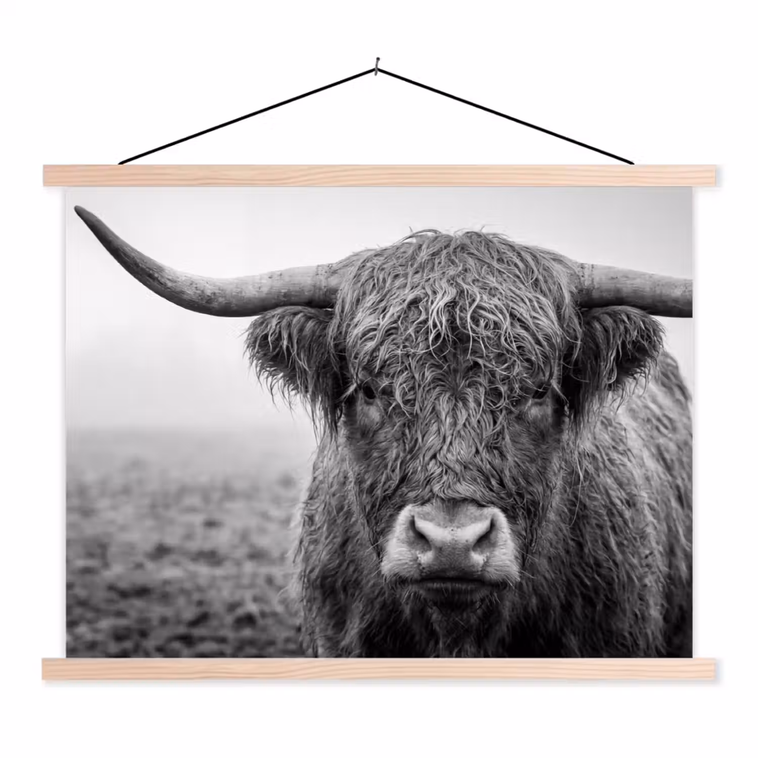 Schotse hooglander - Zwart - Wit - Gras textielposter latten blank klein -3d