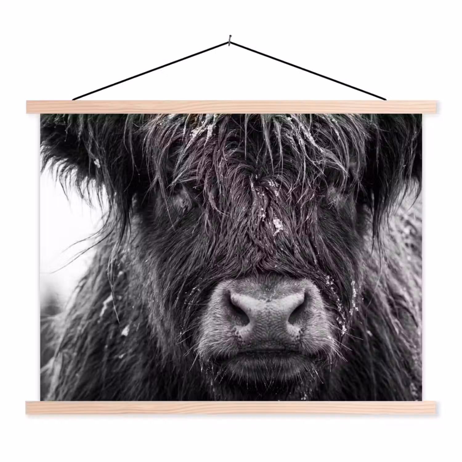 Schotse hooglander - Zwart - Wit - Sneeuwvlokken textielposter latten blank klein -3d