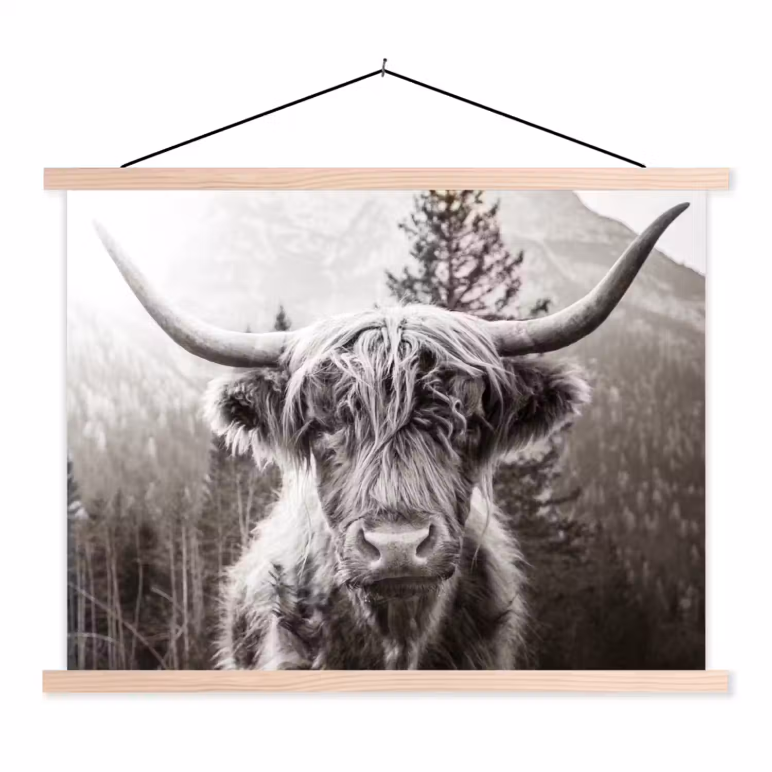 Schotse hooglander - Koe - Dieren - Zwart - Wit textielposter latten blank klein -3d