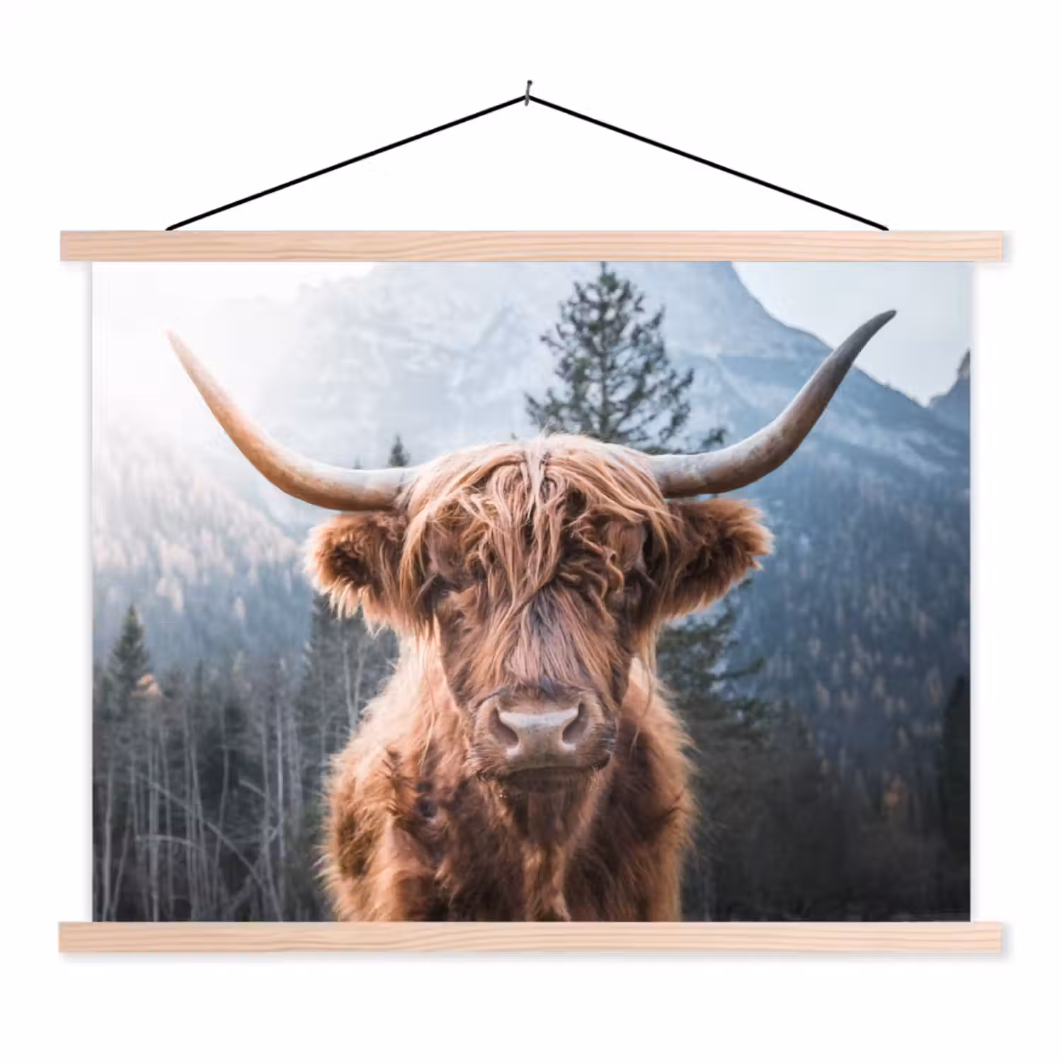 Schotse hooglander - Koe - Dieren - Berg - Natuur textielposter latten blank klein -3d