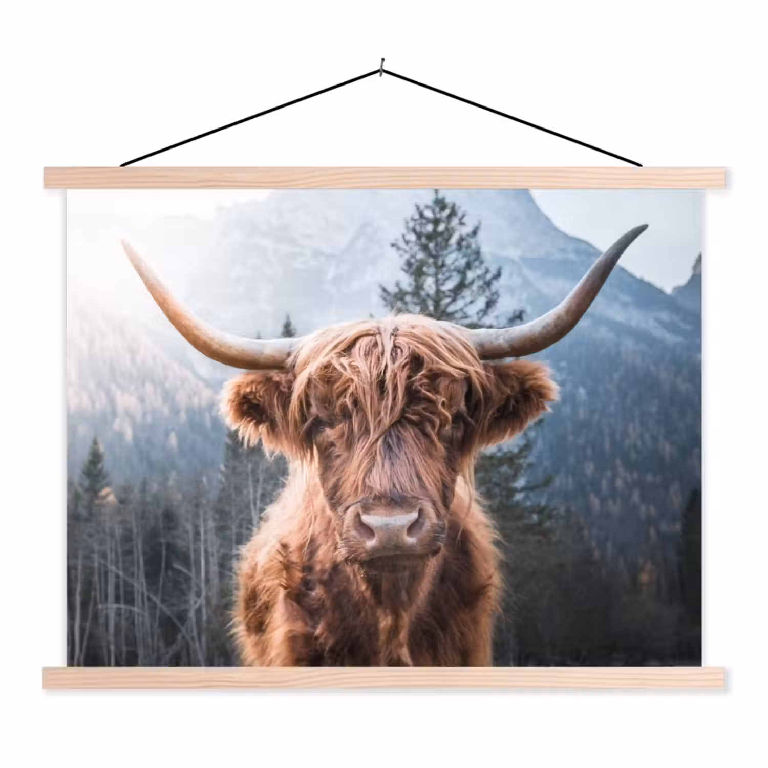 Schotse hooglander - Koe - Dieren - Berg - Natuur textielposter latten blank klein -3d