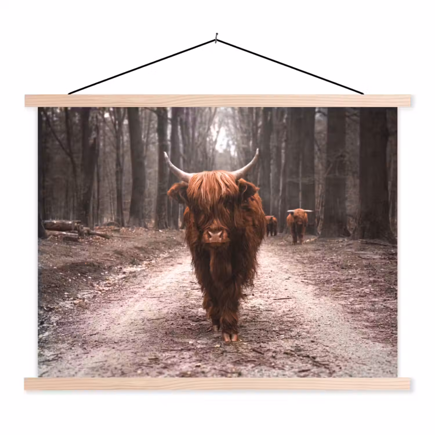 Schotse hooglander - Bos - Koe - Dieren - Natuur textielposter latten blank klein -3d