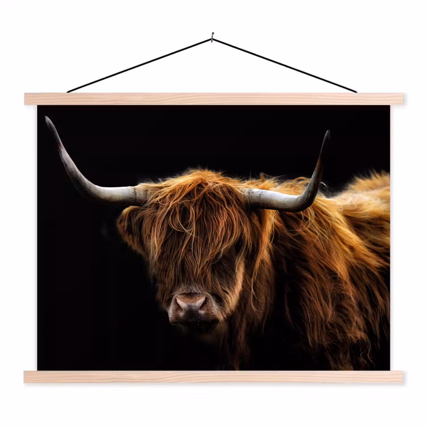 Schotse Hooglander - Horens - Zwart - Dieren - Natuur - Wild - Koe textielposter latten blank klein -3d