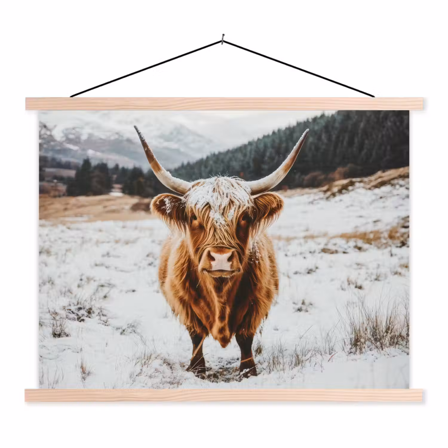 Schotse Hooglander - Landschap - Sneeuw - Bergen - Winter textielposter latten blank klein -3d