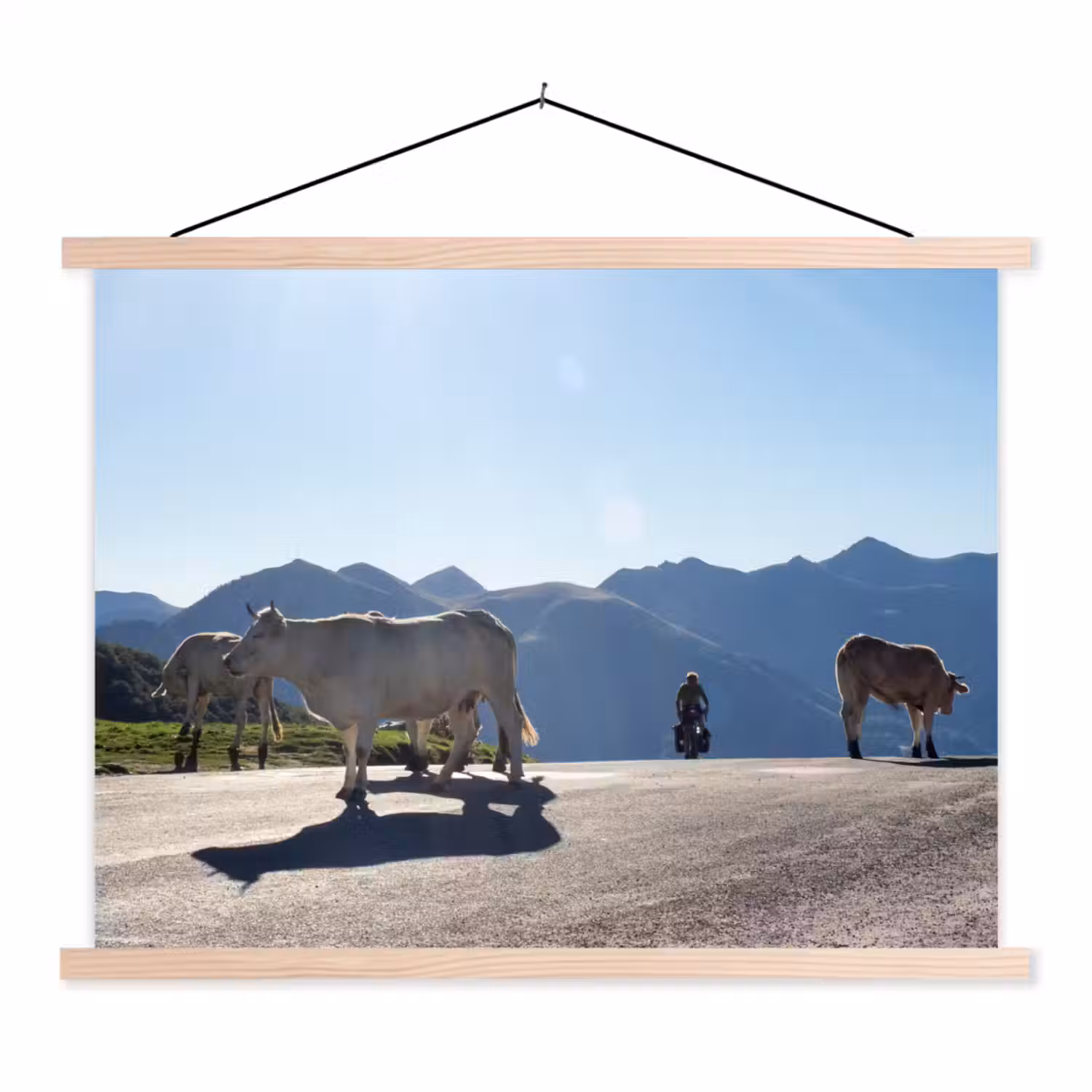Schotse hooglander - Licht - Berg - Natuur textielposter latten blank klein -3d
