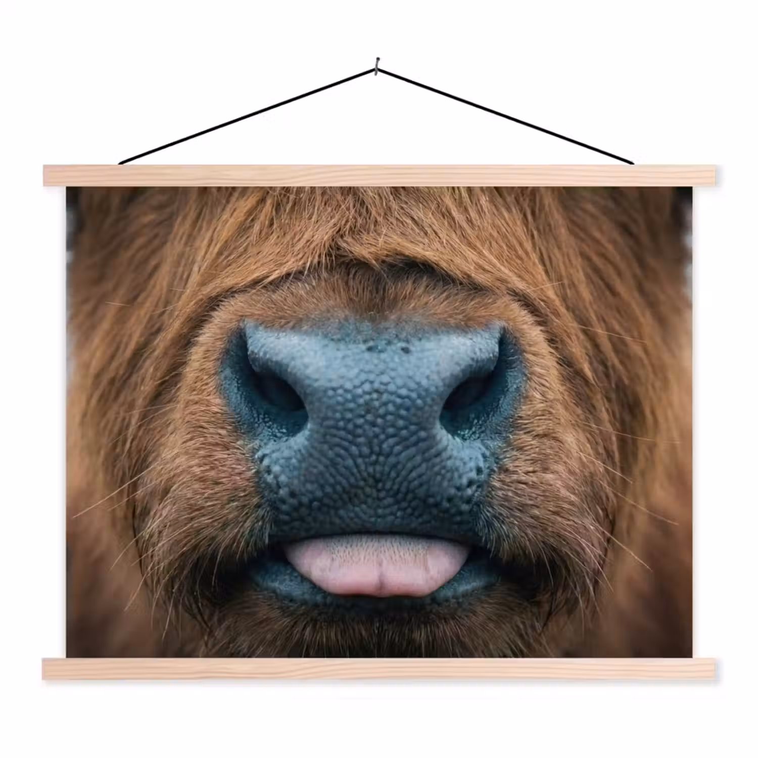 Schotse hooglander - Neus - Bruin textielposter latten blank klein -3d