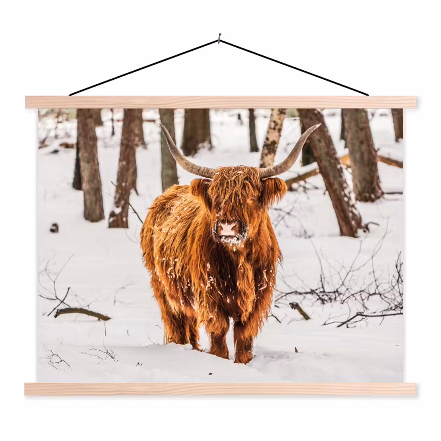 Schotse Hooglander - Sneeuw - Winter - Natuur - Dieren textielposter latten blank klein -3d