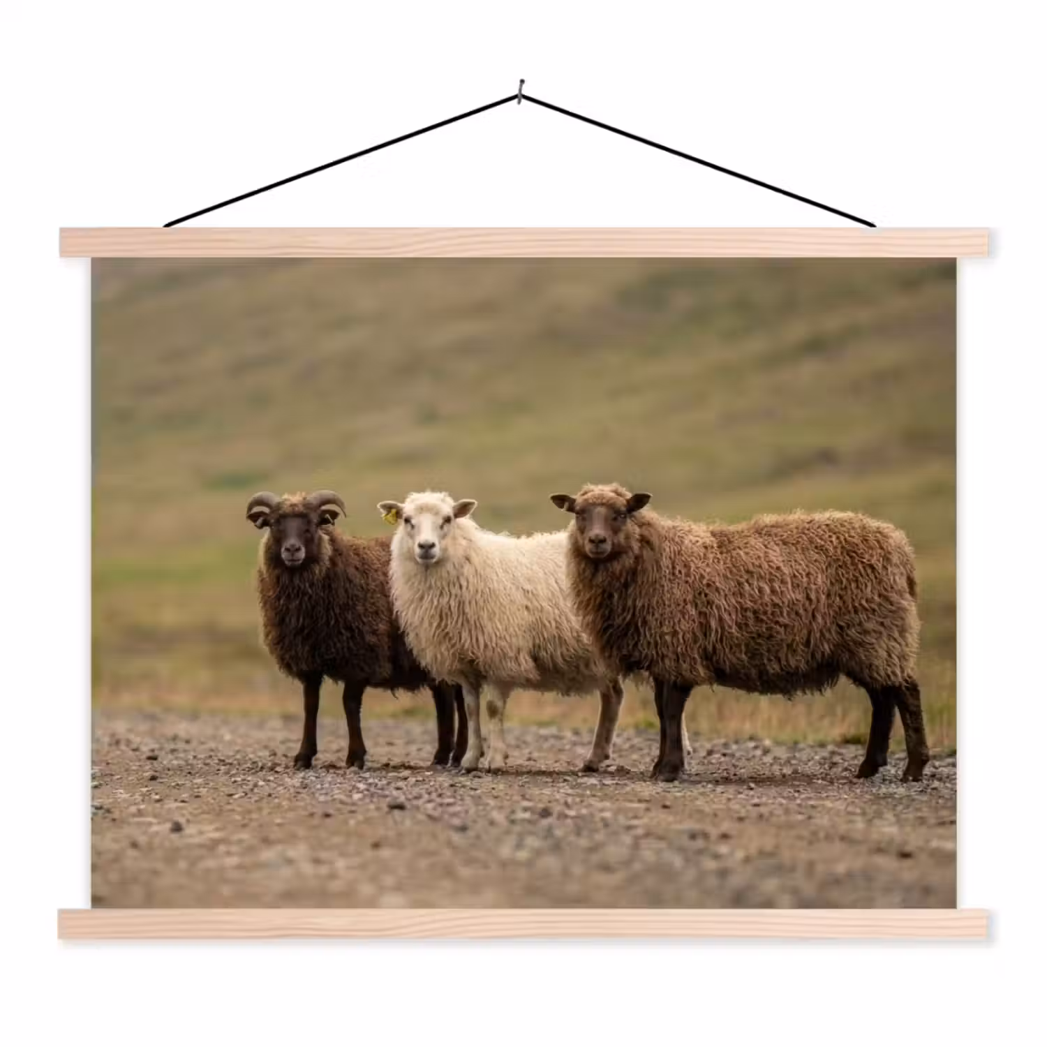 Schapen - Bruin - Wit - Grindpad textielposter latten blank klein -3d