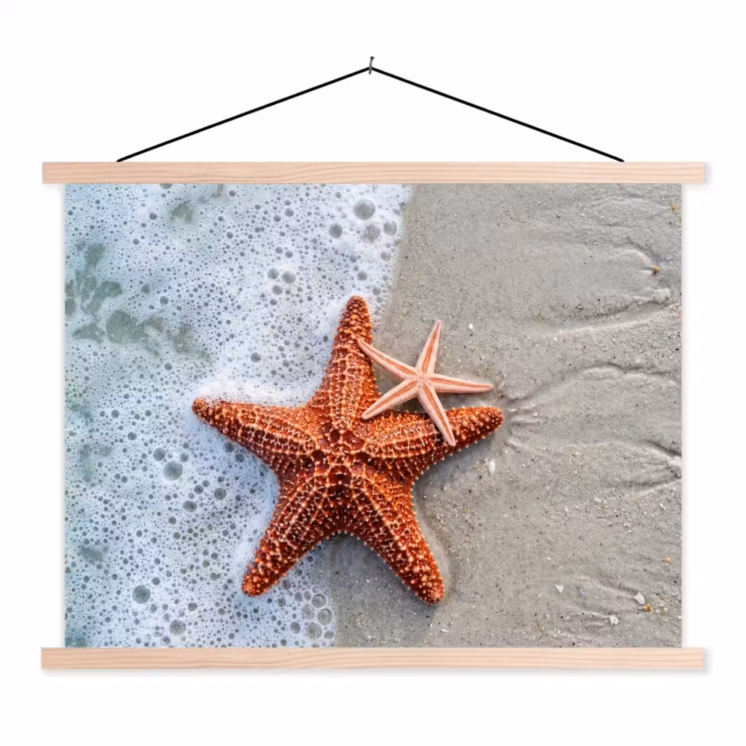 Zeester - Strand - Zee textielposter latten blank klein -3d