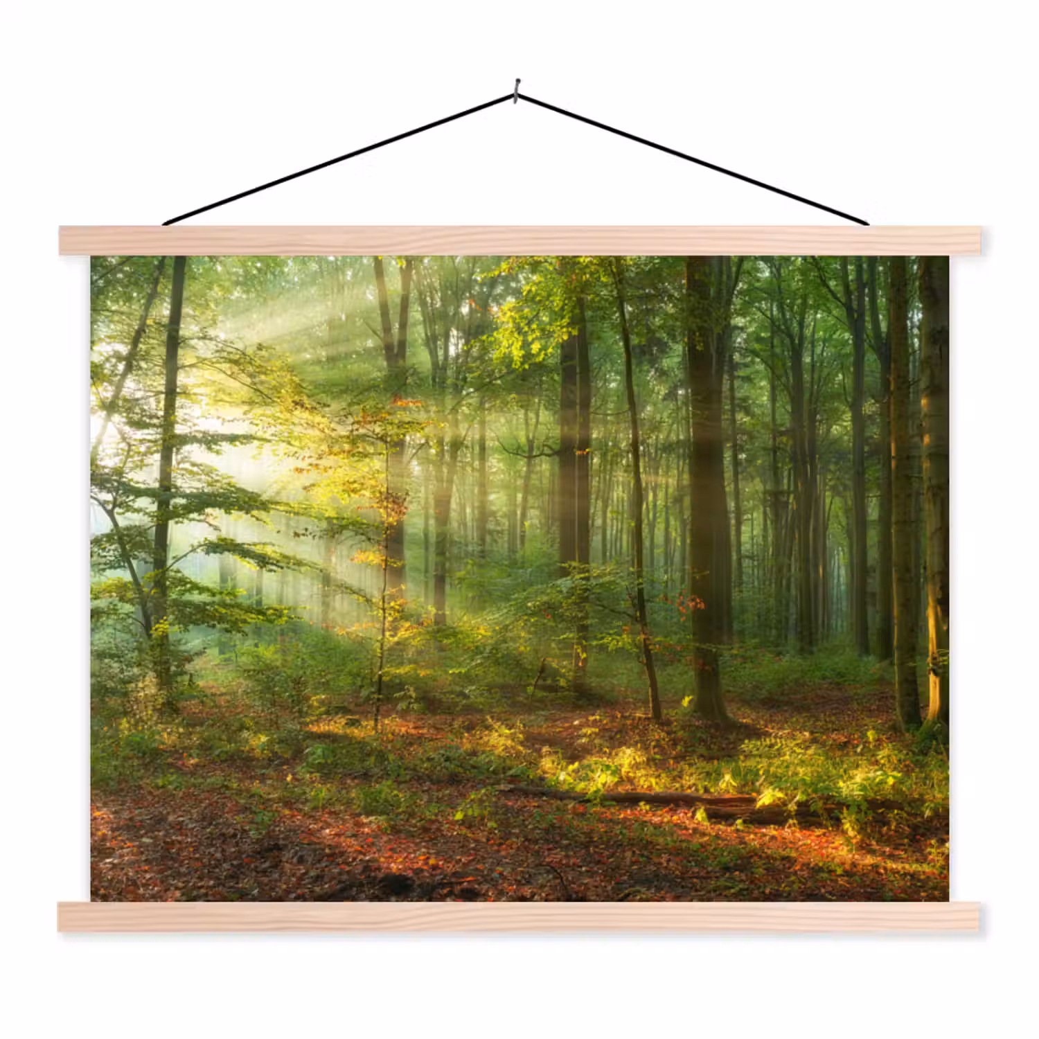 Zon - Bos - boom - Natuur - Herfst textielposter latten blank klein -3d