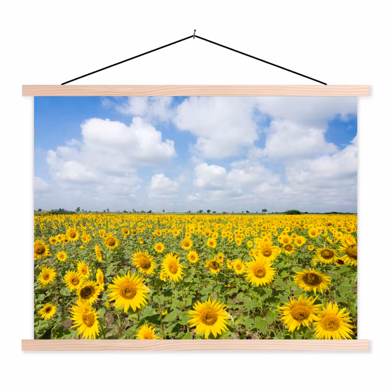 Zonnebloemen - Bloemen - Wolken - Natuur - Geel - Landschap textielposter latten blank klein -3d