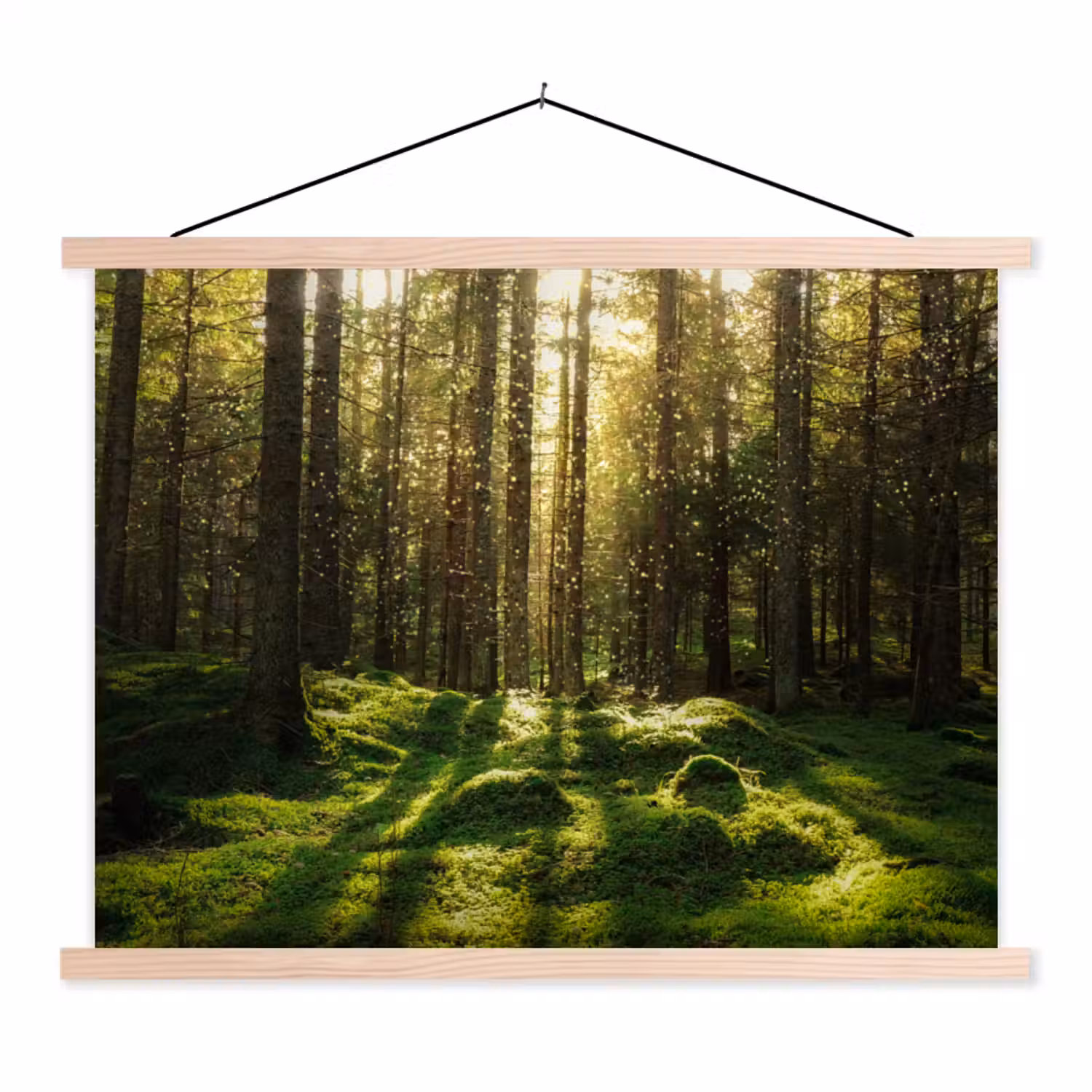 Bomen - Bos - Mos - Planten - Zon textielposter latten blank klein -3d
