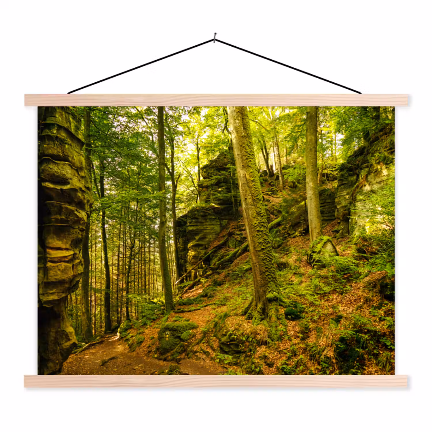 Bomen - Steen - Bos - Natuur textielposter latten blank klein -3d