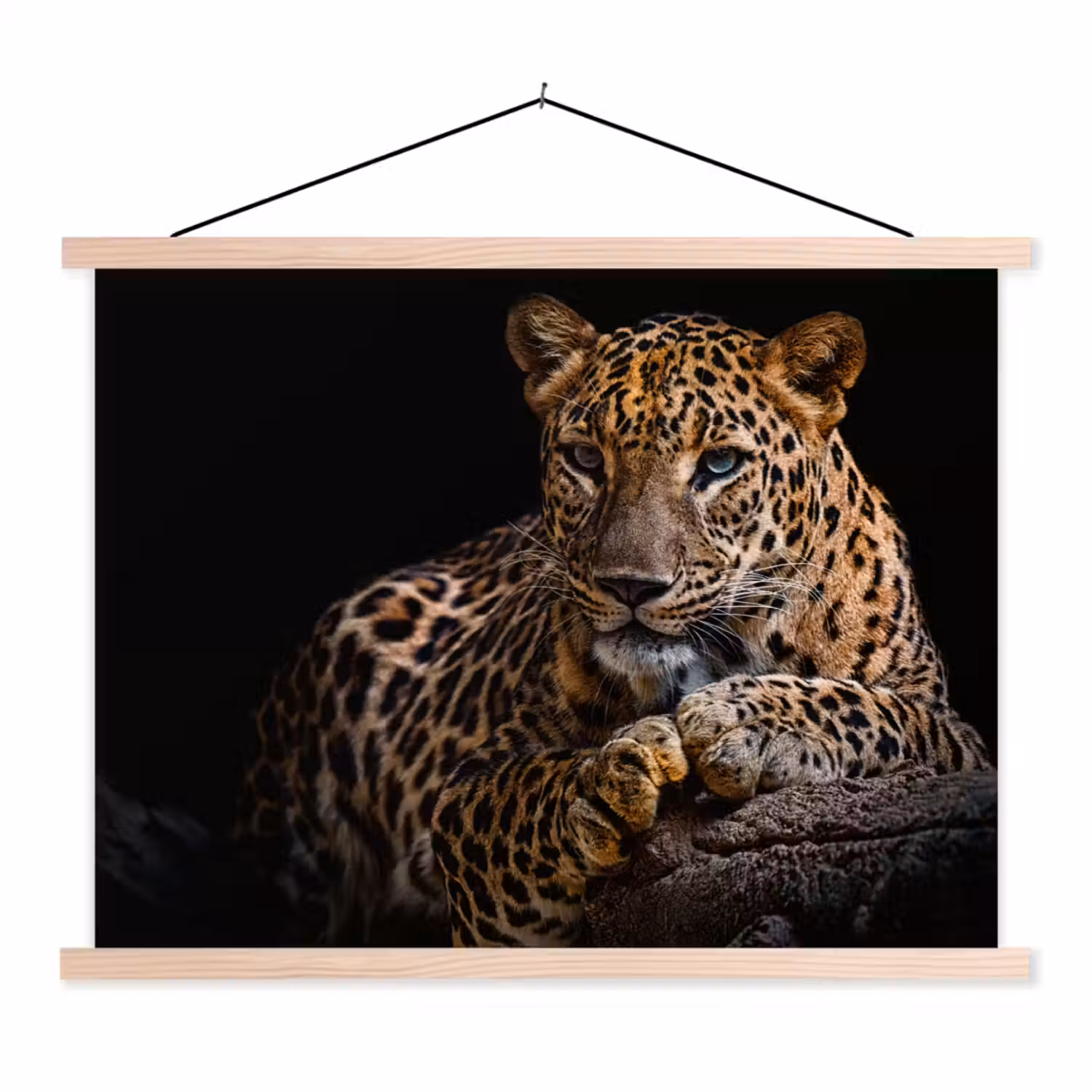 Wilde dieren - Panter - Portret - Zwart - Dieren textielposter latten blank klein -3d