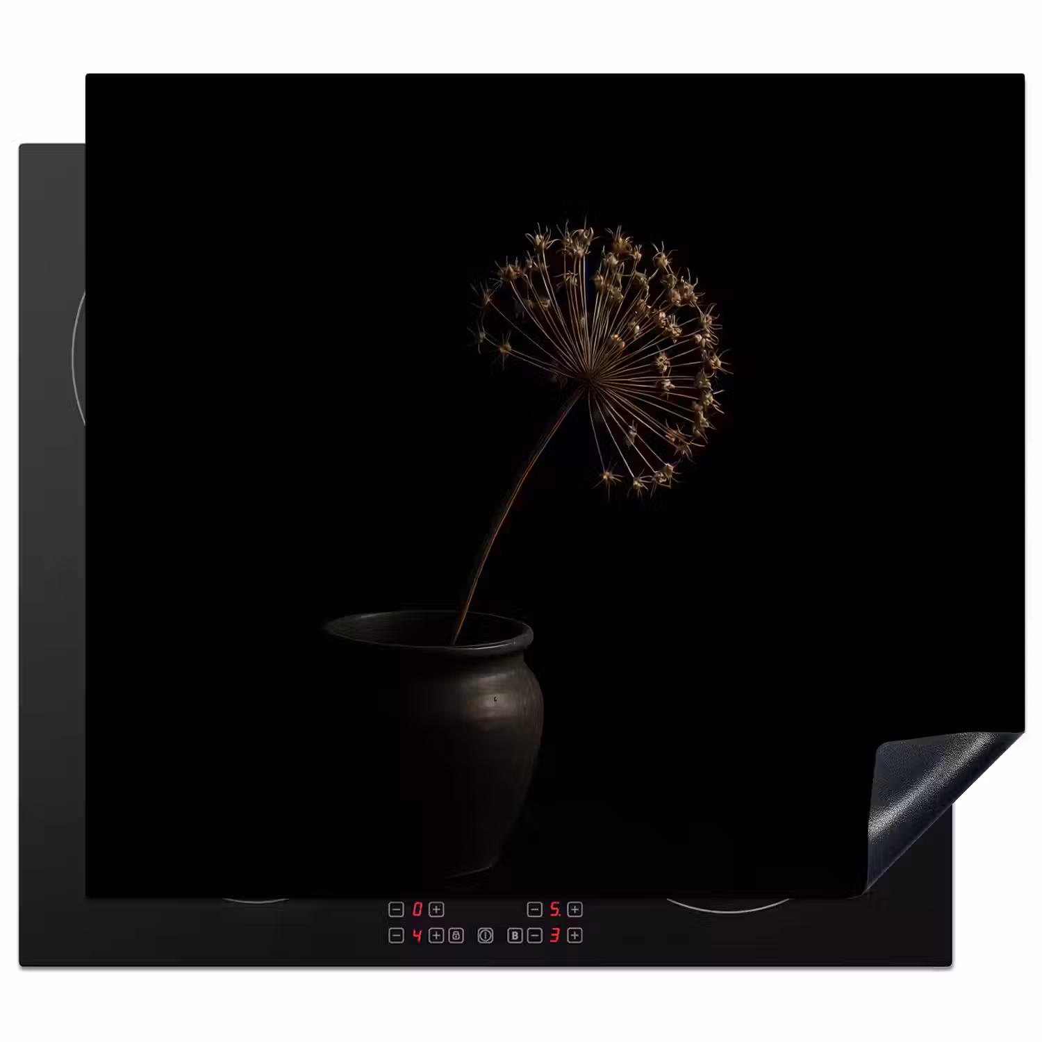 Bol - Gedroogd - Vaas - Zwart Inductie beschermer vinyl 3mm middel -3d