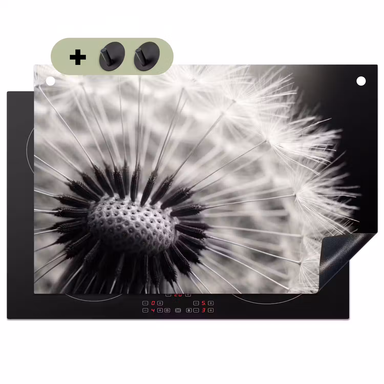 Paardenbloem - Zwart - Wit Inductie beschemer met haakjes klein -3d