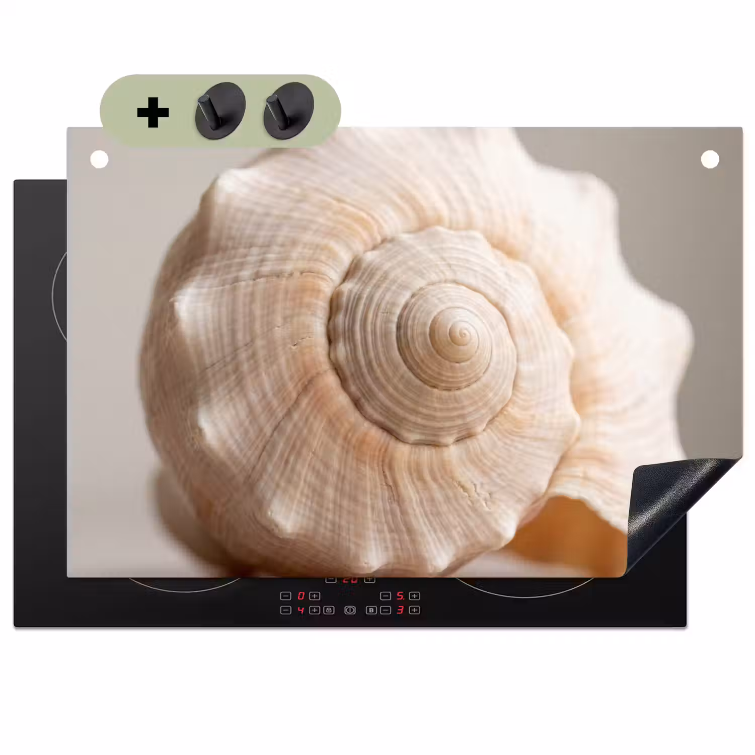 Schelp - Detail - Beige Inductie beschemer met haakjes klein -3d