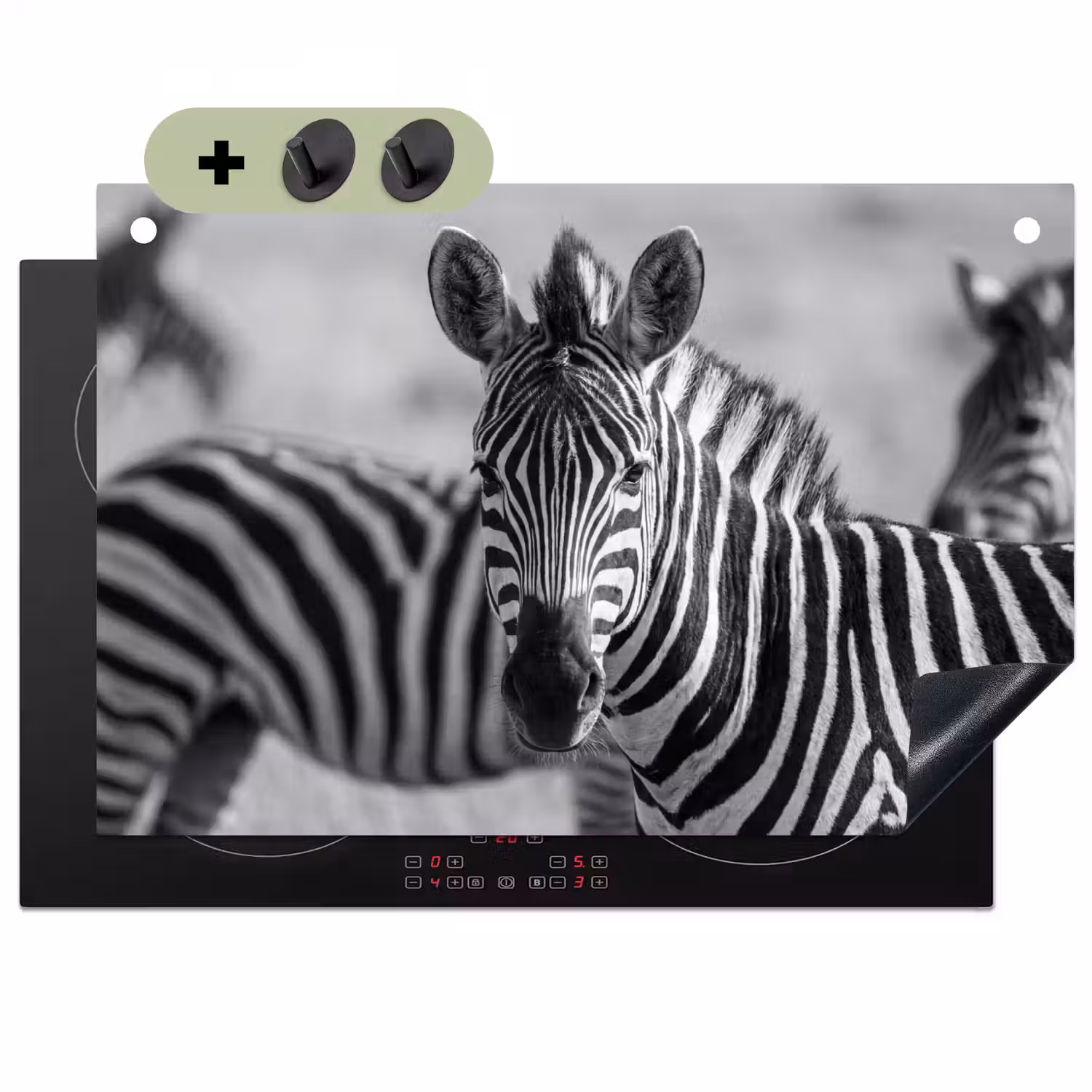 Zebra's - Zwart - Wit Inductie beschemer met haakjes klein -3d