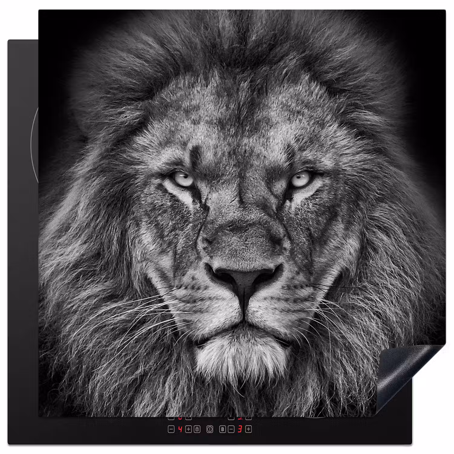 Dieren - Leeuw - Zwart - Wit - Portret Inductie beschermer vinyl 3mm middel -3d