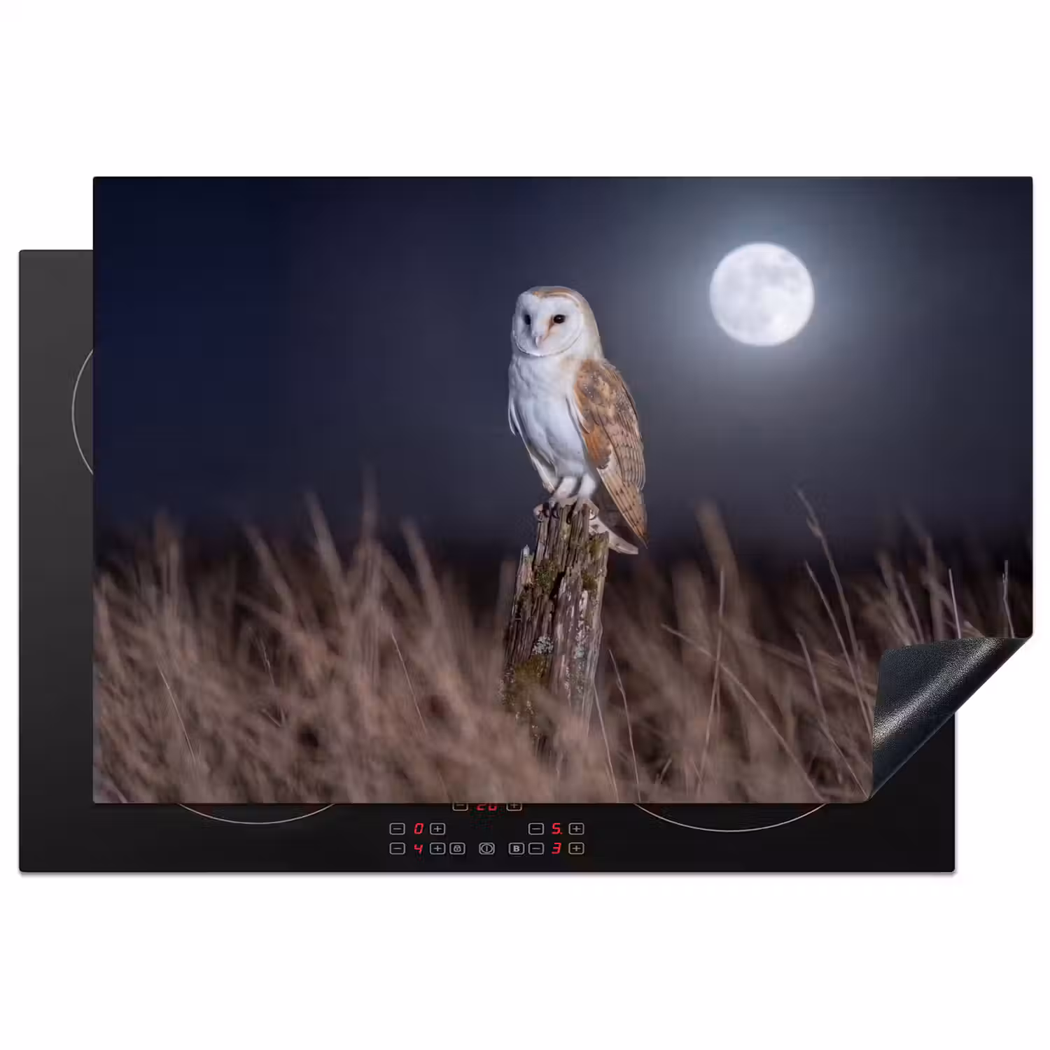 Kerkuil - Maan - Nacht Inductie beschermer vinyl 3mm klein -3d