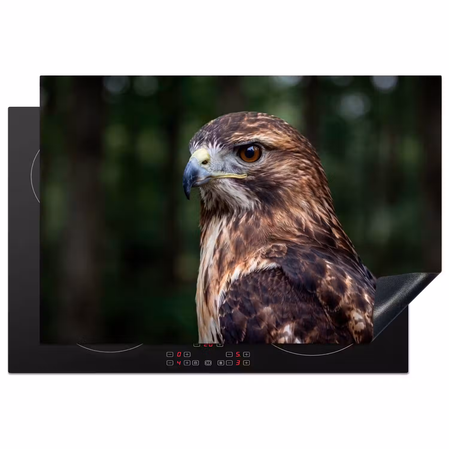 Buizerd - Roofvogel - Natuur - Bruin Inductie beschermer vinyl 3mm klein -3d
