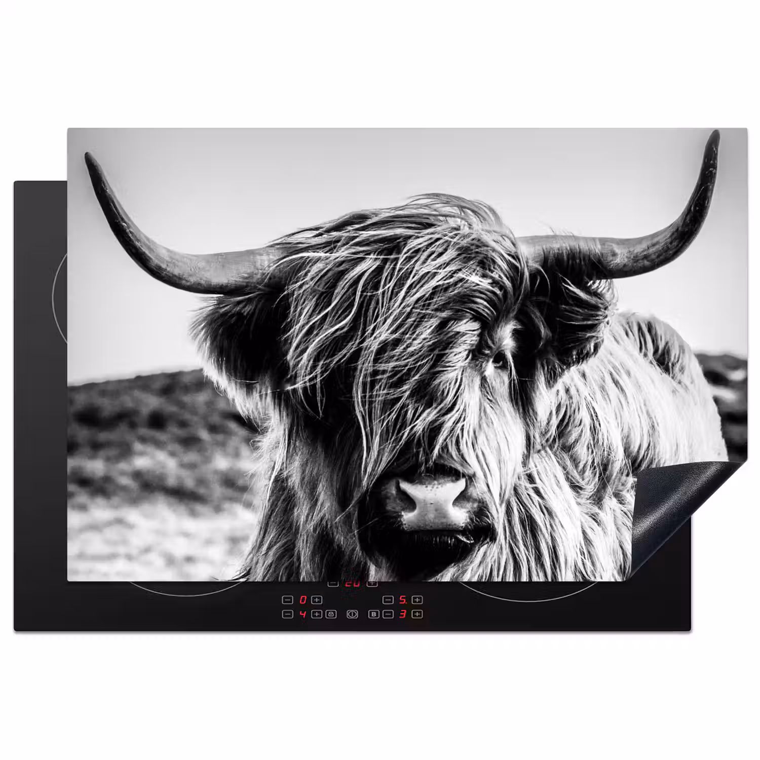 Koe - Schotse hooglander - Zwart - Wit - Dier - Natuur - Wild Inductie beschermer vinyl 3mm klein -3d
