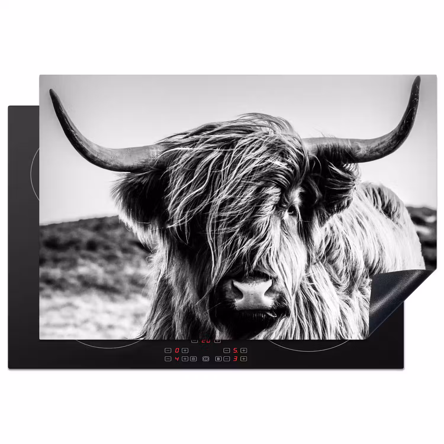 Koe - Schotse hooglander - Zwart - Wit - Dier - Natuur - Wild Inductie beschermer vinyl 3mm klein -3d