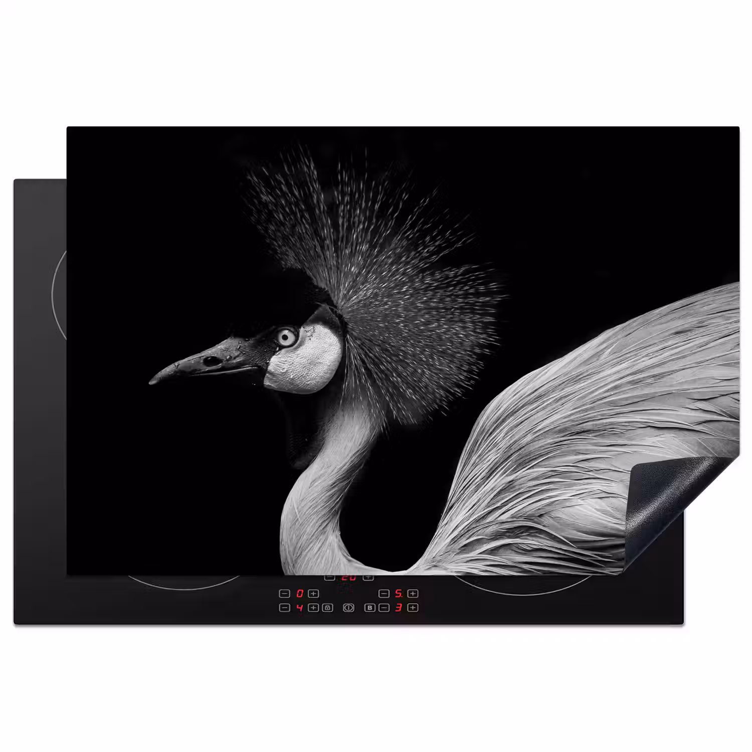 Kraanvogel - Zwart - Wit - Vogel - Dieren Inductie beschermer vinyl 3mm klein -3d