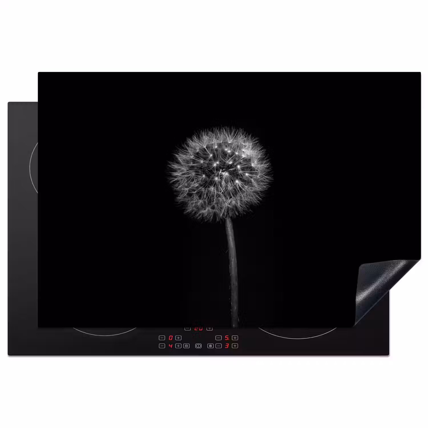 Paardenbloem - Zwart - Bloemen - Botanisch Inductie beschermer vinyl 3mm klein -3d