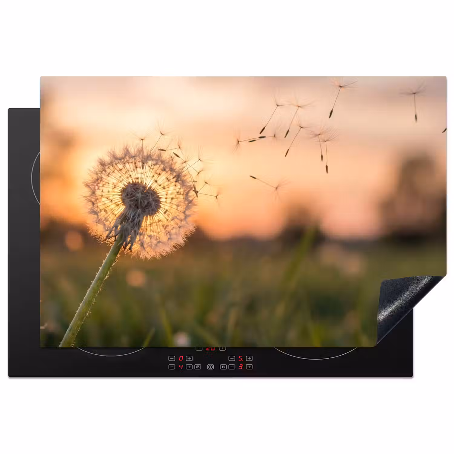 Paardenbloem - Zonsondergang - Veld Inductie beschermer vinyl 3mm klein -3d