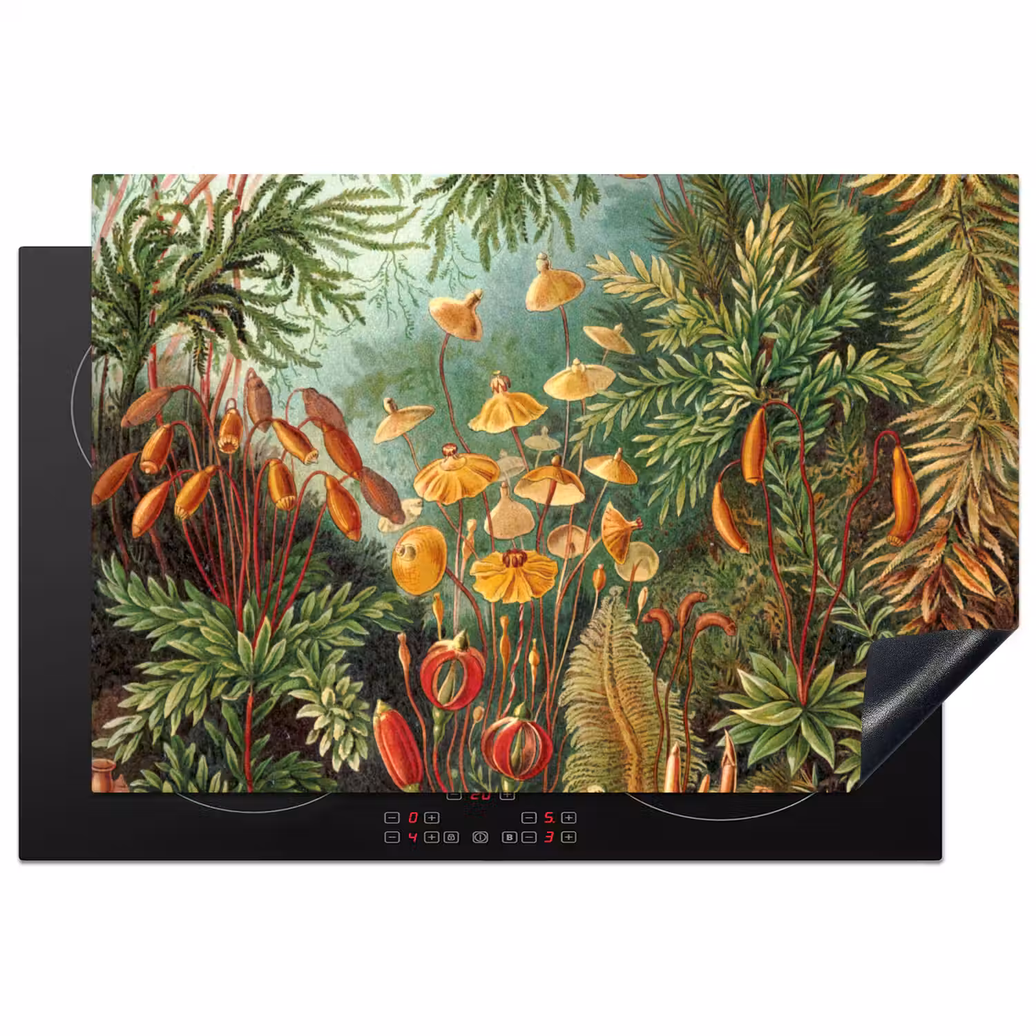 Design - Natuur - Paddenstoelen - Ernst Haeckel Inductie beschermer vinyl 3mm klein -3d