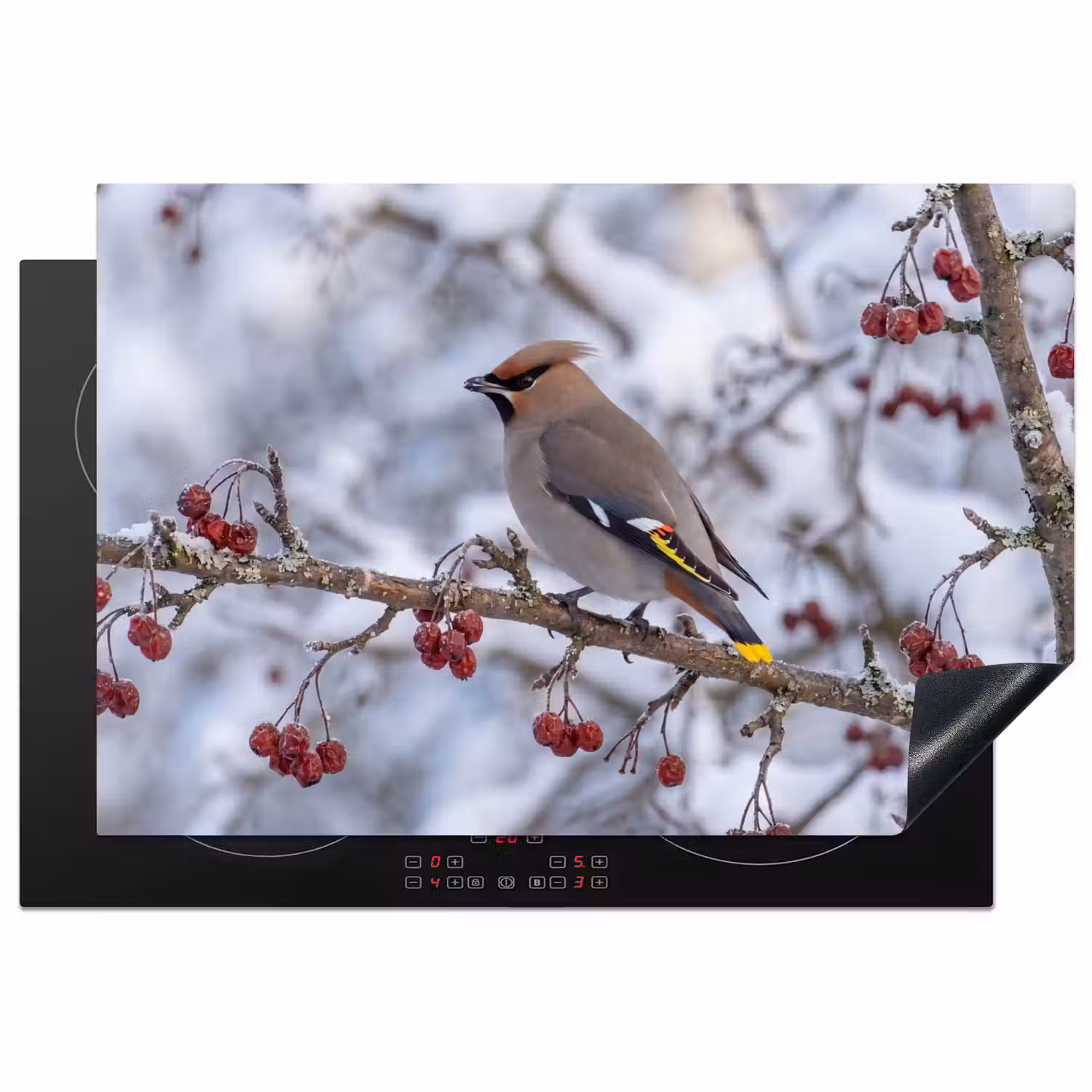 Pestvogel - Bessen - Winter - Natuur Inductie beschermer vinyl 3mm klein -3d