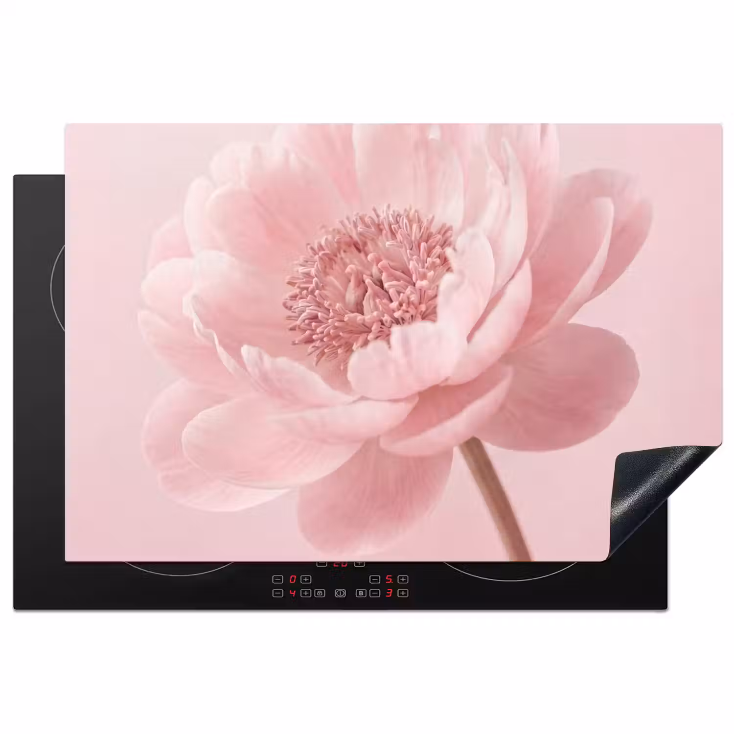 Bloem - Pioenroos - Roze Inductie beschermer vinyl 3mm klein -3d