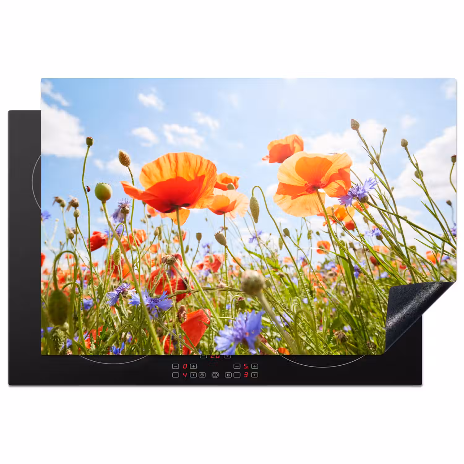 Bloemen - Klaproos - Lente - Natuur - Rood - Blauw Inductie beschermer vinyl 3mm klein -3d