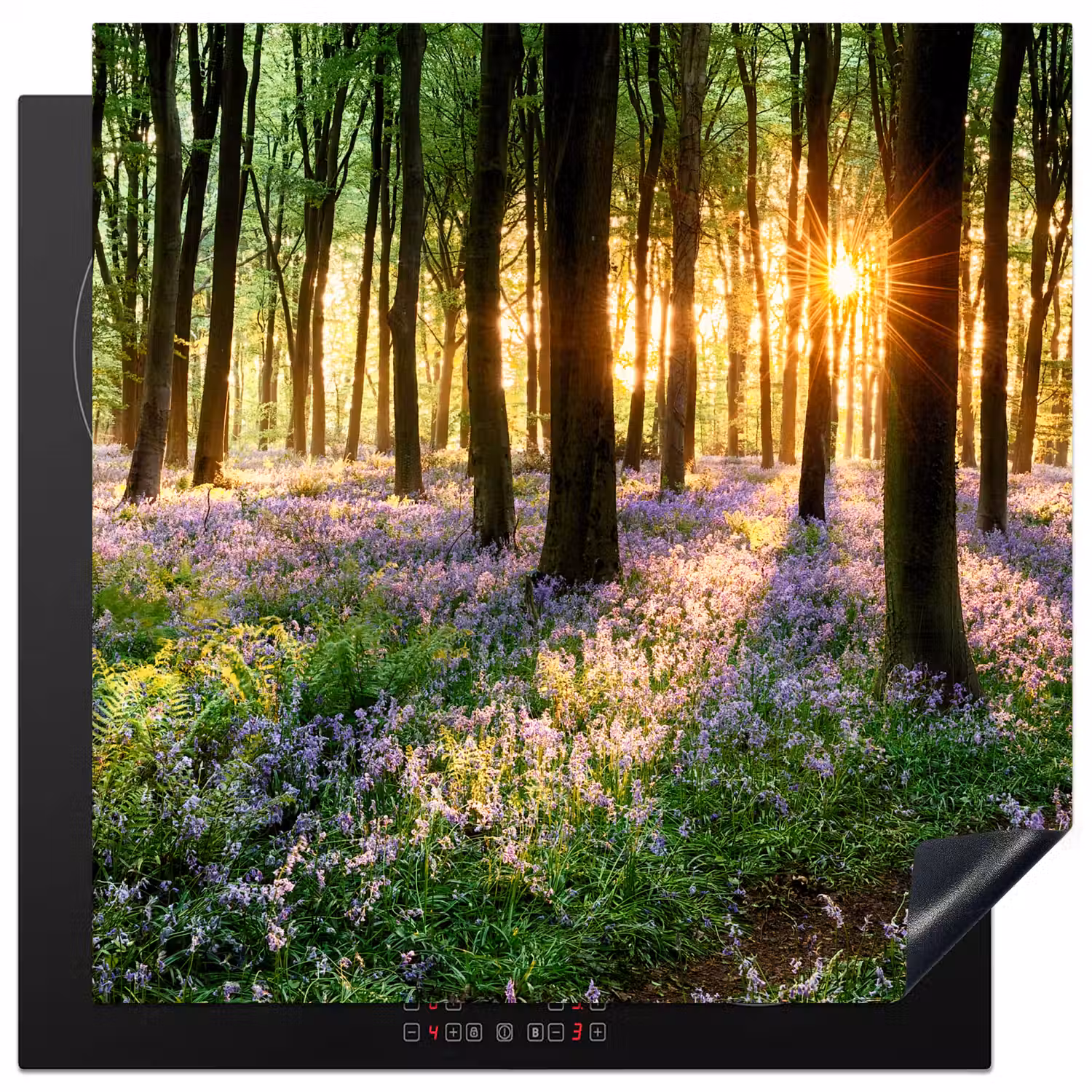 Bos - Bloemen - Lavendel - Zon - Paars - Natuur Inductie beschermer vinyl 3mm middel -3d