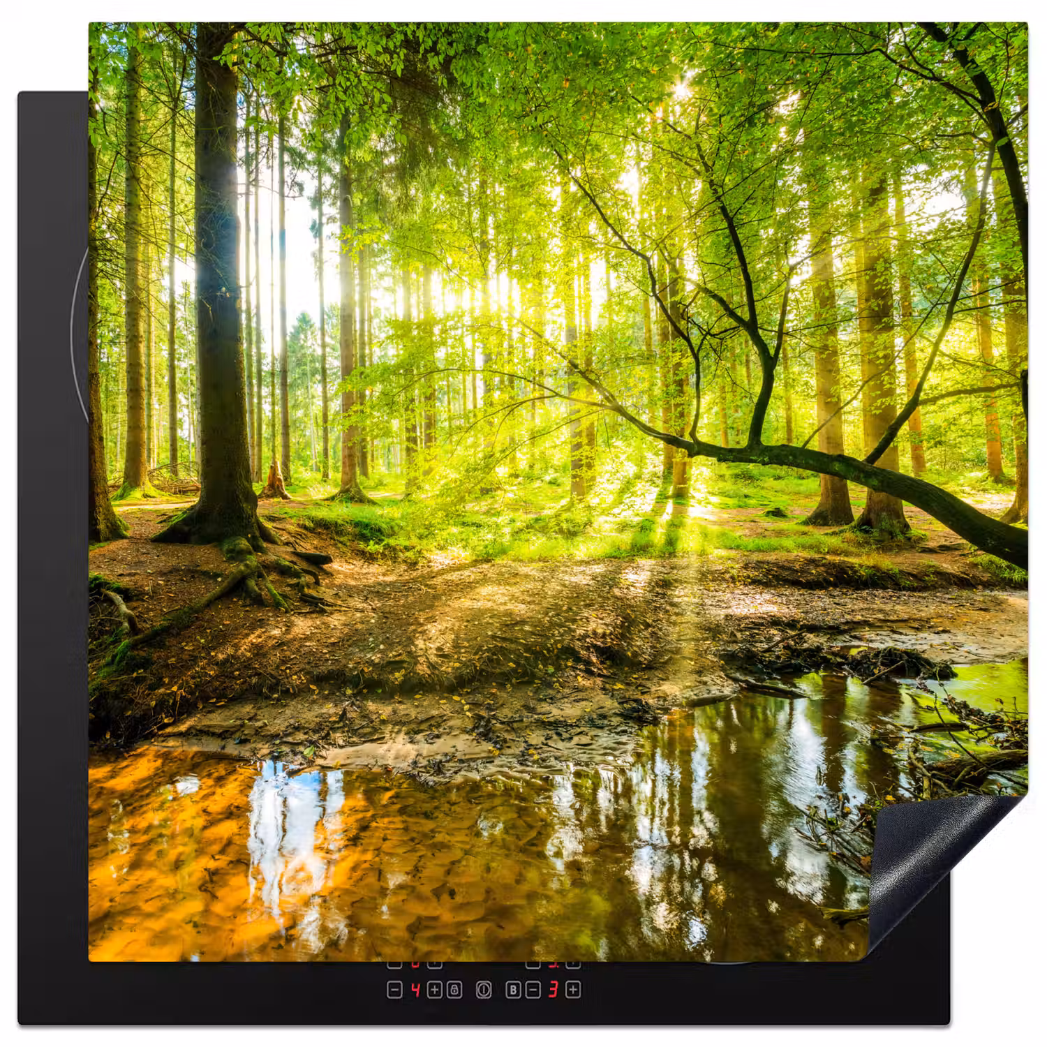 Bos - Landschap - Water - Bomen - Zon - Groen - Natuur Inductie beschermer vinyl 3mm middel -3d