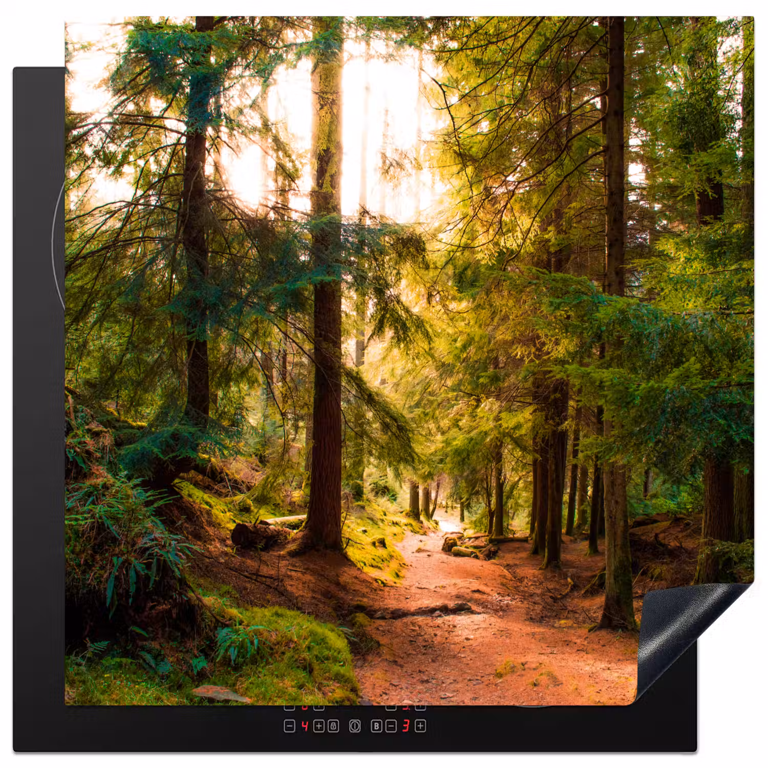 Bos - Pad - Bomen - Groen - Zon - Natuur Inductie beschermer vinyl 3mm middel -3d