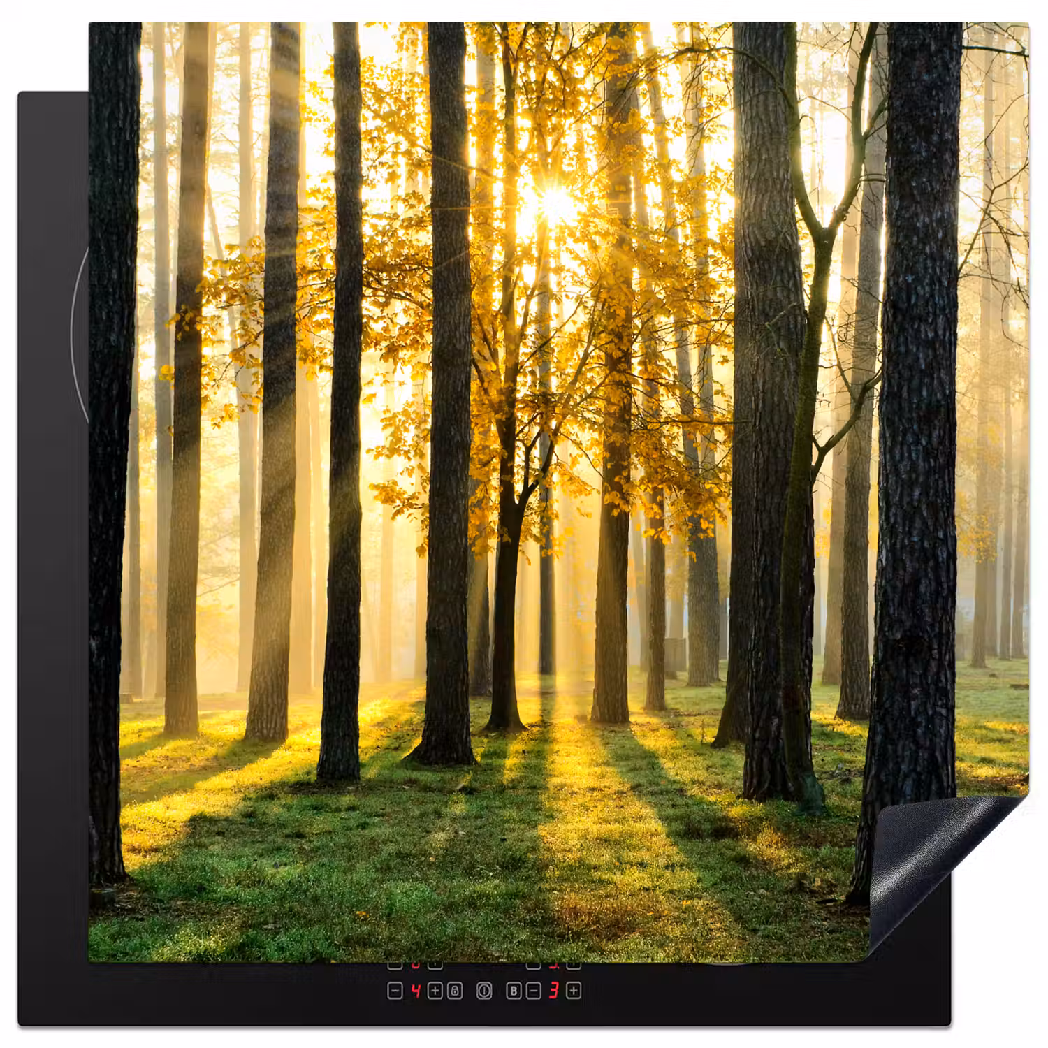 Bos - Zon - Bomen - Gras - Landschap - Natuur Inductie beschermer vinyl 3mm middel -3d