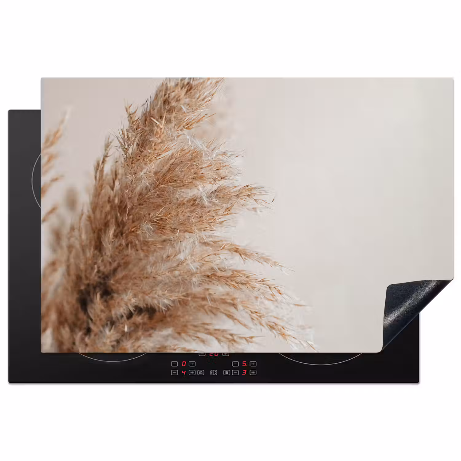 Gras - Planten - Natuur - Pampasgras Inductie beschermer vinyl 3mm klein -3d