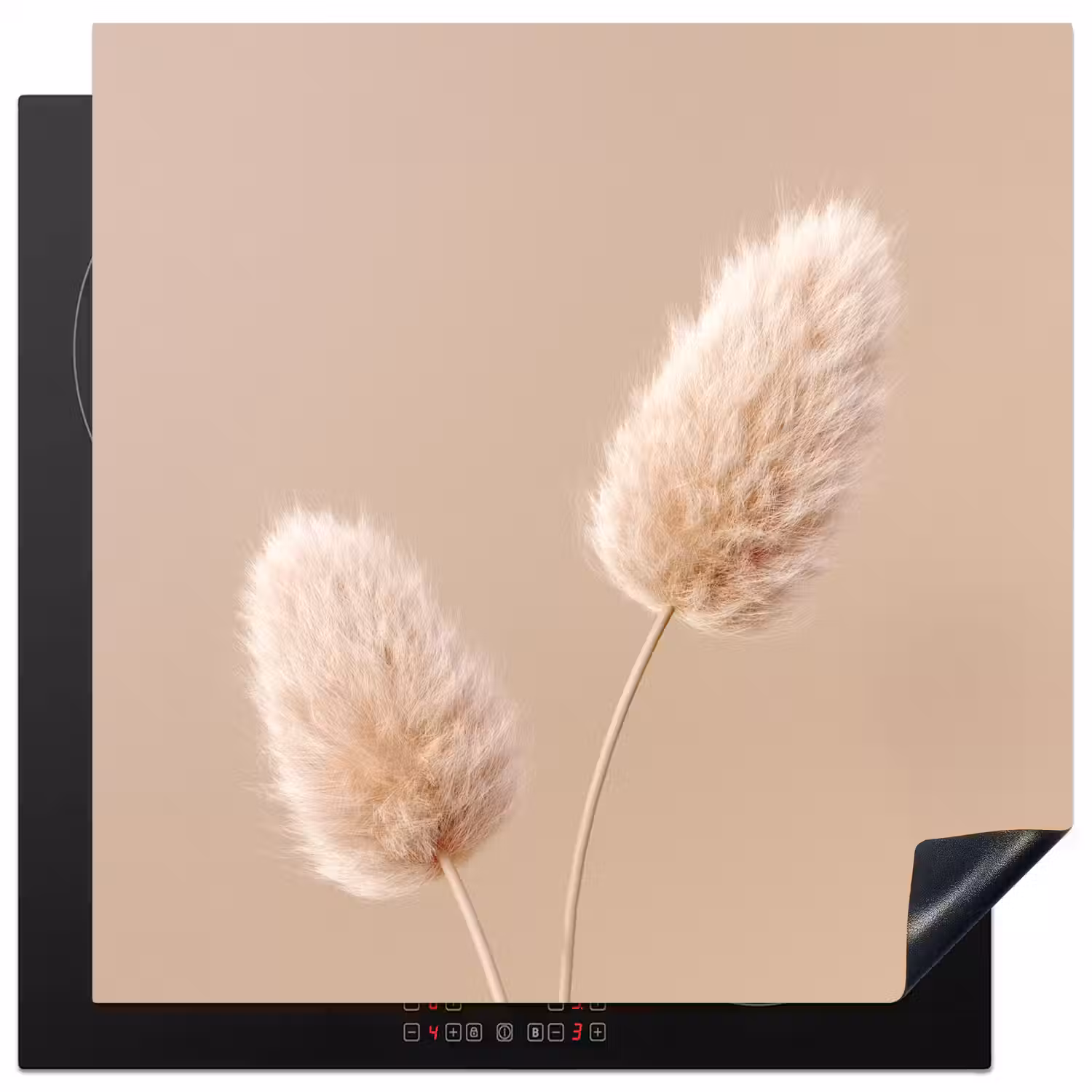 Pampas pluimen - Beige - Planten Inductie beschermer vinyl 3mm middel -3d