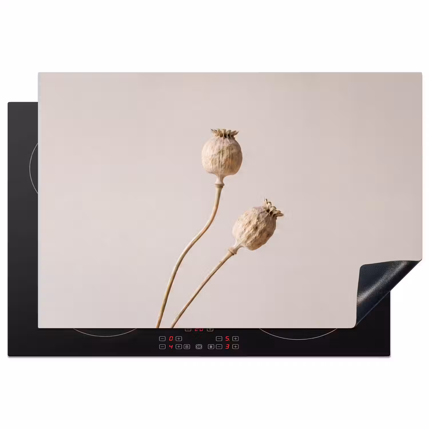 Papaverbollen - Droogbloemen - Minimalistisch - Beige - Rustig Inductie beschermer vinyl 3mm klein -3d