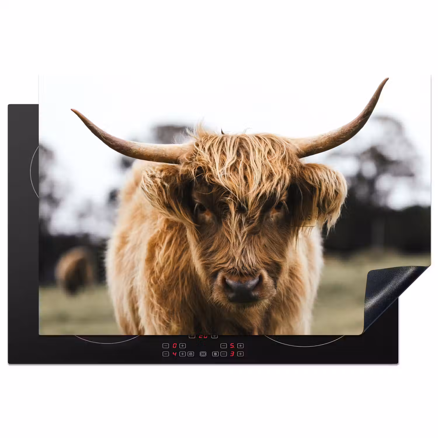 Schotse Hooglander - Koe - Gras - Dieren - Natuur Inductie beschermer vinyl 3mm klein -3d