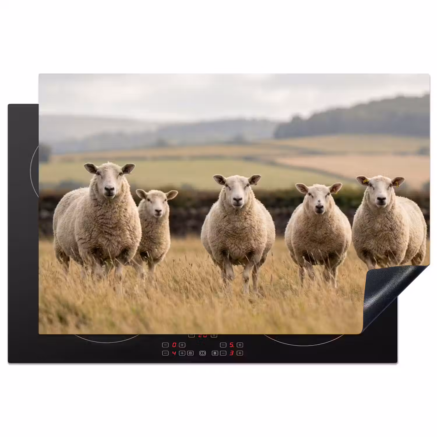 Schapen - Weidenlandschap - Heuvels Inductie beschermer vinyl 3mm klein -3d