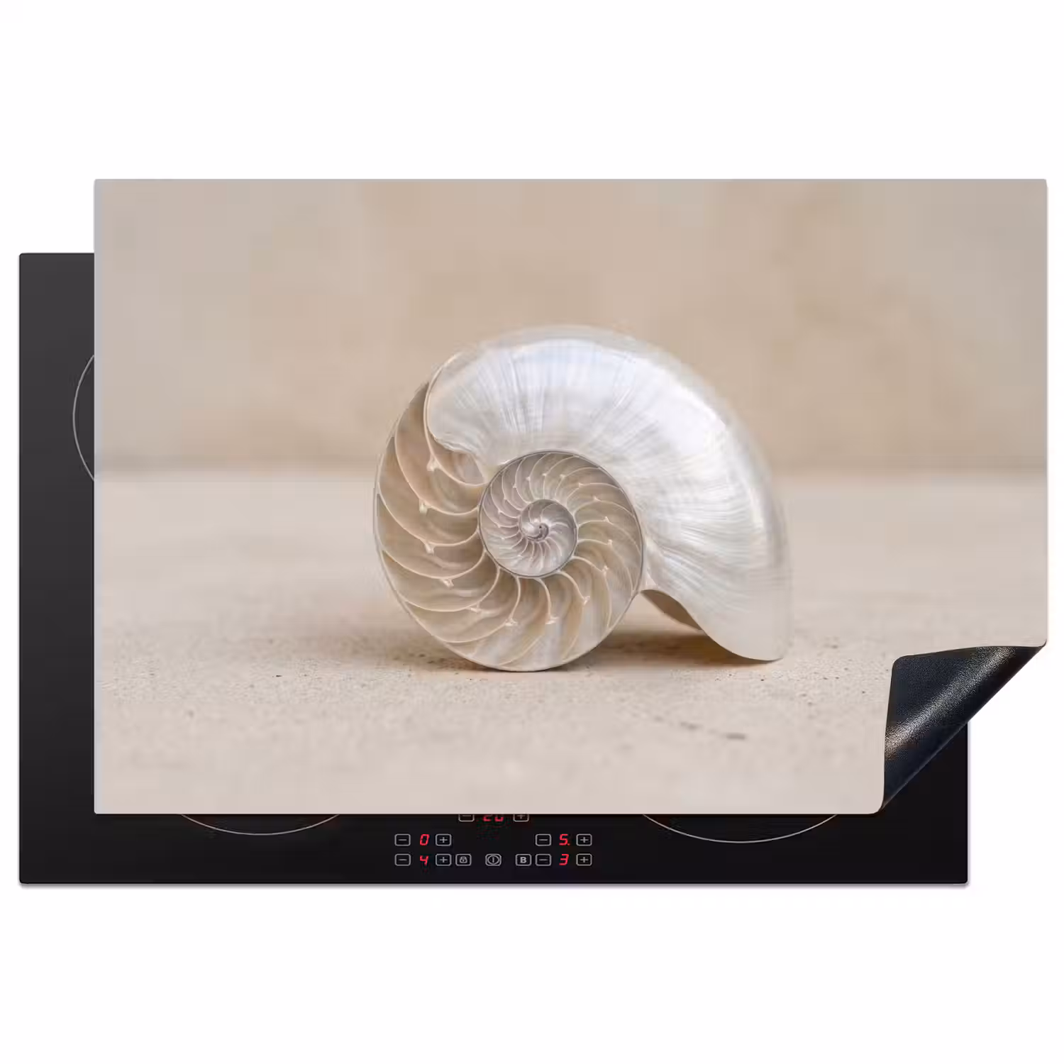 Schelp - Spiraal - Beige Inductie beschermer vinyl 3mm klein -3d