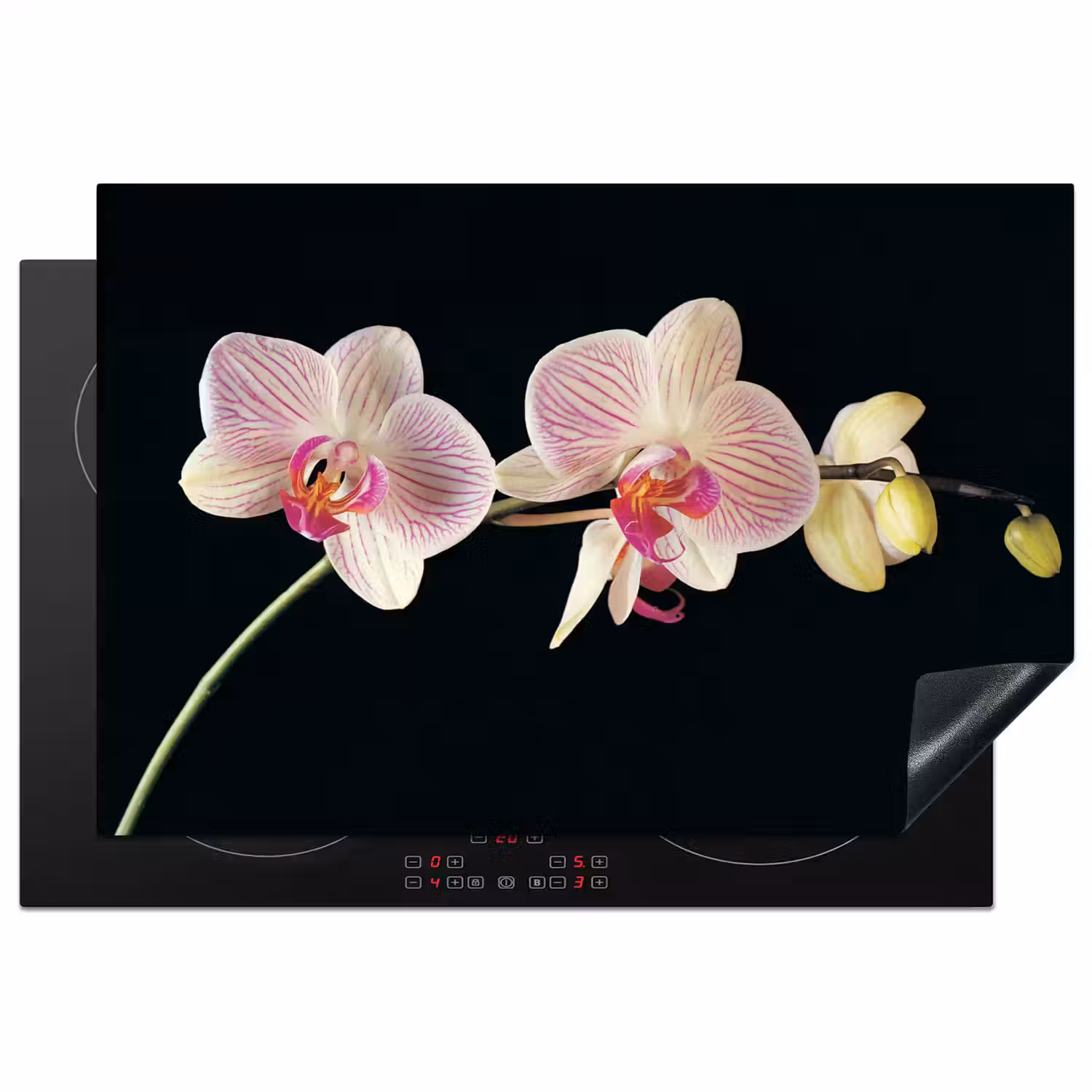 Getekende Schoonheid van Orchideeën Inductie beschermer vinyl 3mm klein -3d